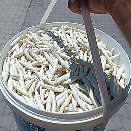 Kenger sakız 5 adet