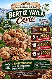 Bertiz Yayla Cevizi