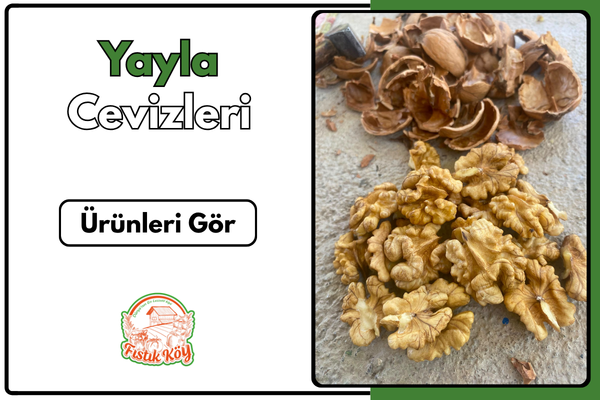 CEVİZ